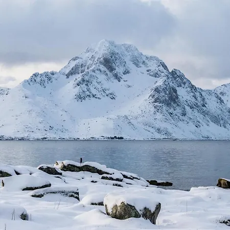 Brand New Nappstraumen Seaview *